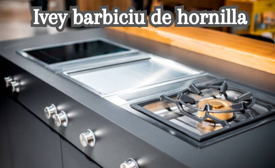 ivey barbiciu de hornilla