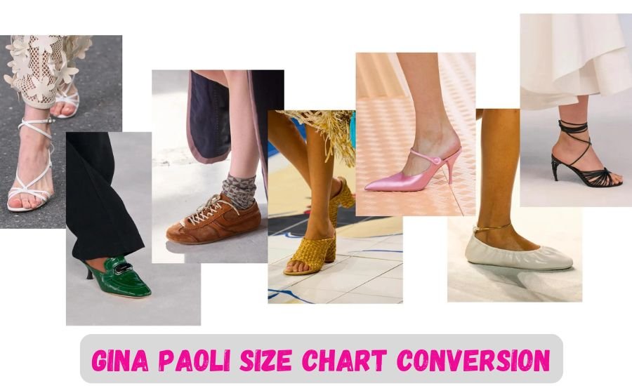 gina paoli size chart conversion