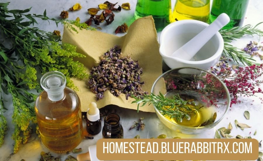 Homestead.bluerabbitrx.com: Discover the Benefits of Sustainable Living