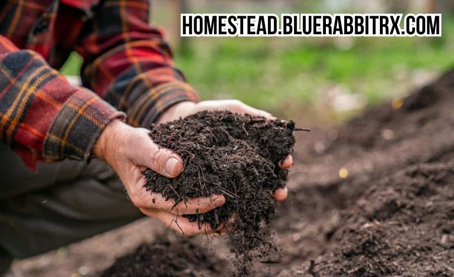 homestead.bluerabbitrx.com