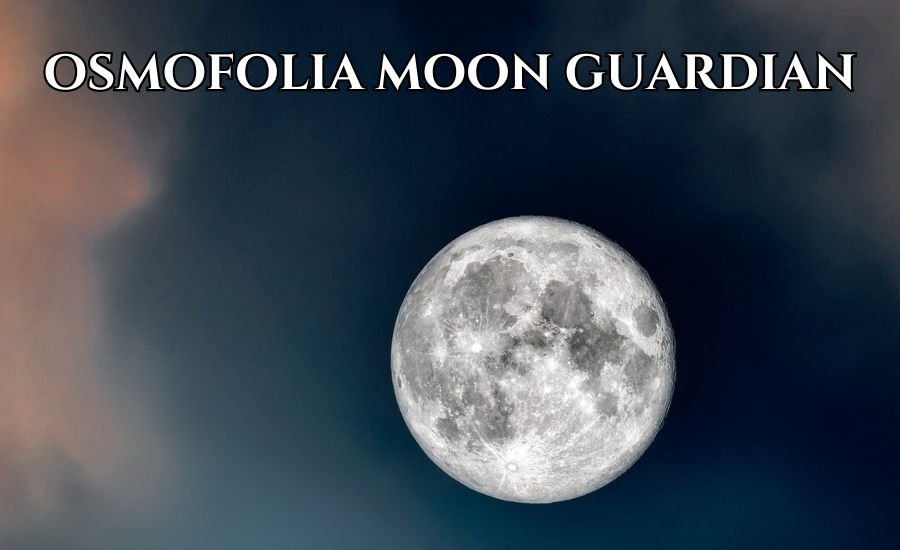 Unveiling the Powerful Osmofolia Moon Guardian: Your Protector of the Night