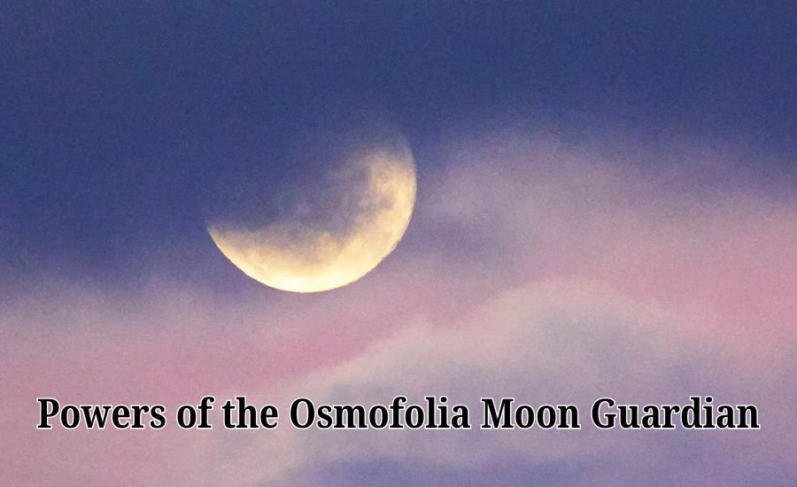 osmofolia moon guardian