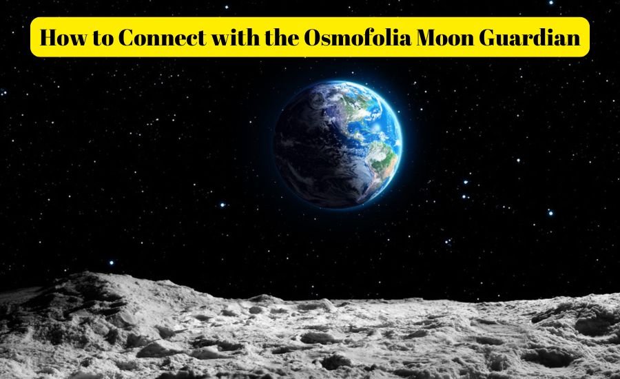 osmofolia moon guardian