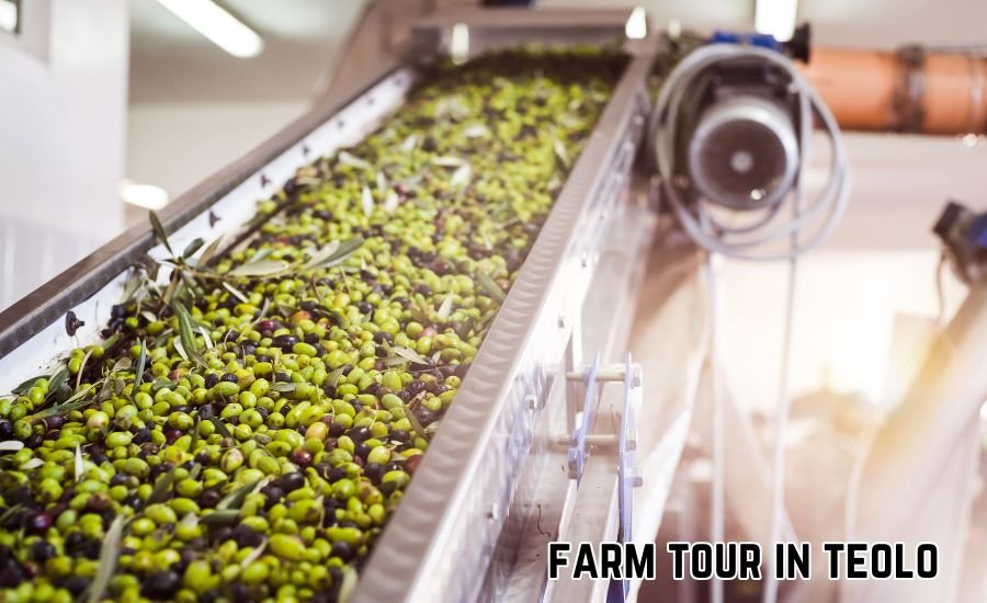 farm tour in teolo