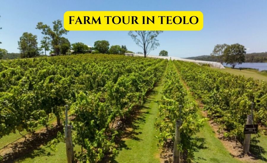 farm tour in teolo