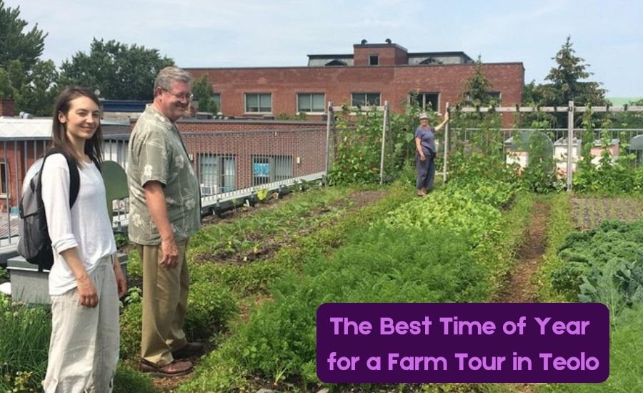 farm tour in teolo