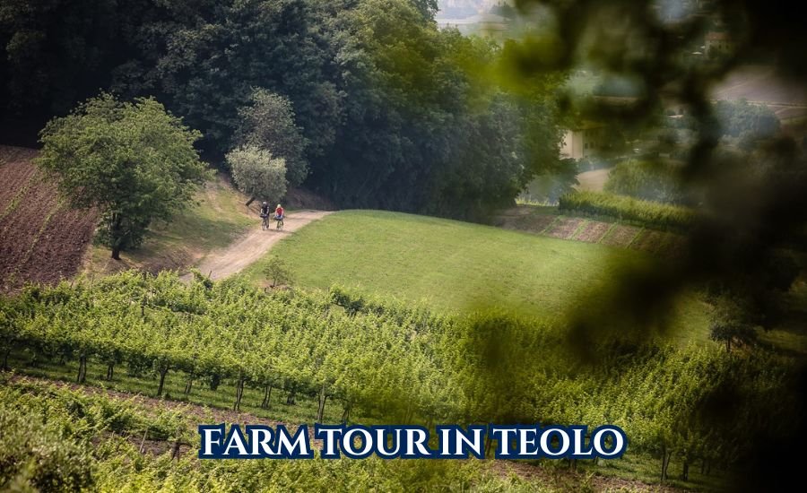 farm tour in teolo