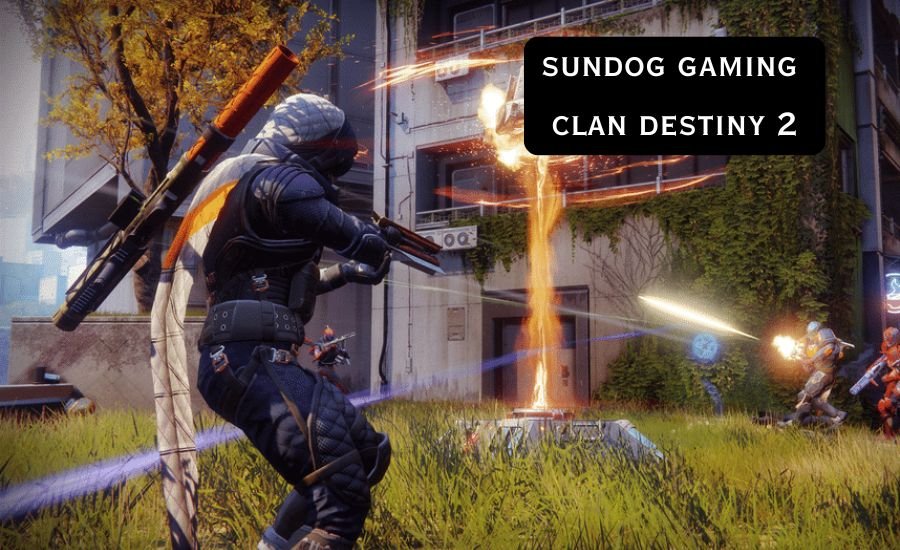 Sundog Gaming Clan Destiny 2: A Fun Place for Guardians to Play Together