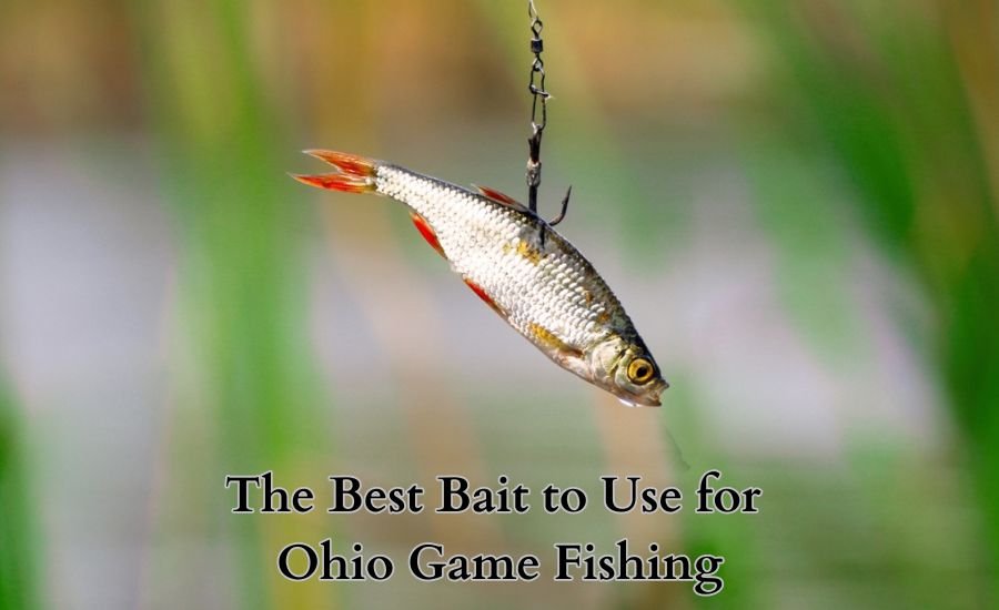 ohio game fishing