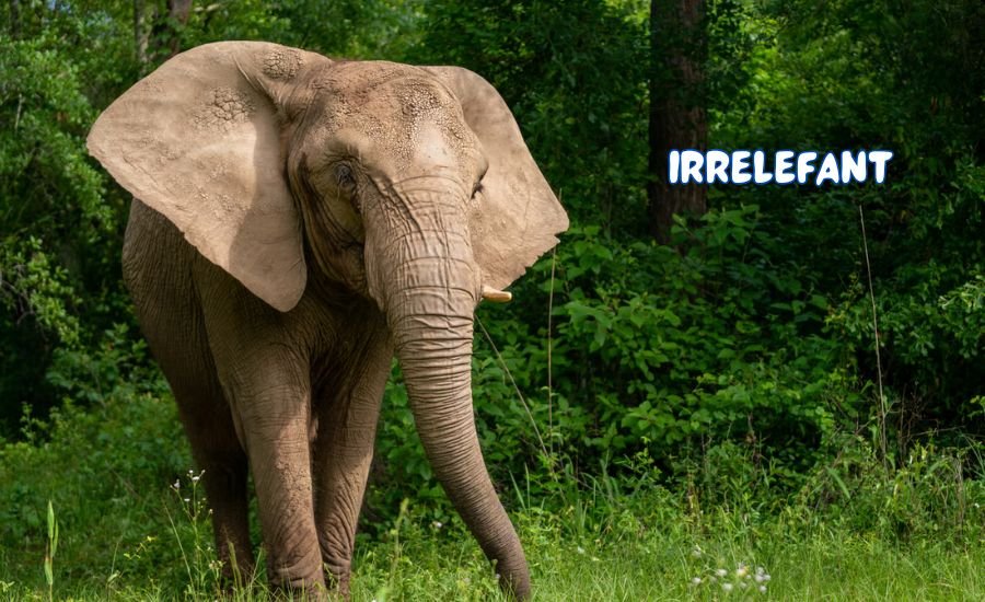 irrelefant